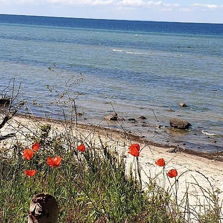 Ferienwohnung Storchenblick Zurow Exteriör bild