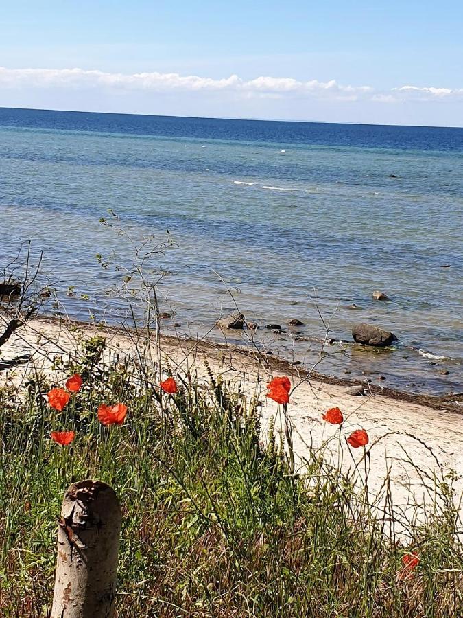 Ferienwohnung Storchenblick Zurow Exteriör bild